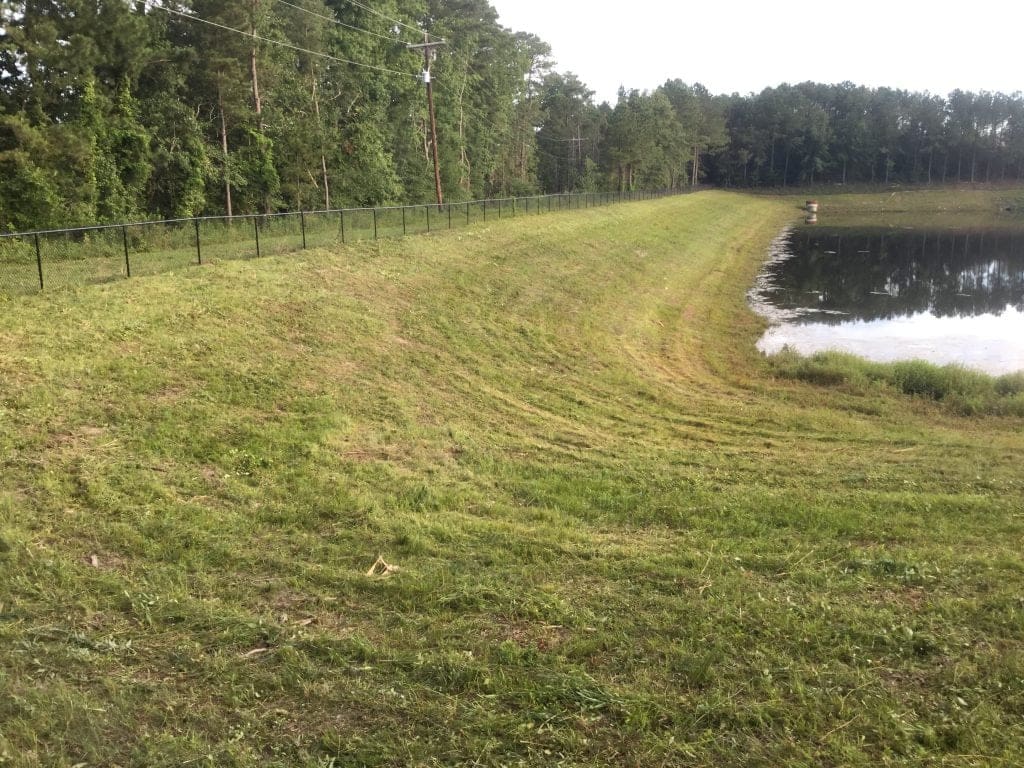 Pond Management Services - AQUALIS Retention Pond Vegetation Repair