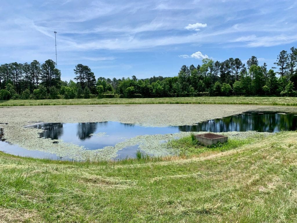 retention pond