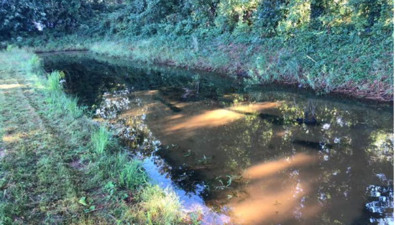 Screenshot 2023-05-04 133616