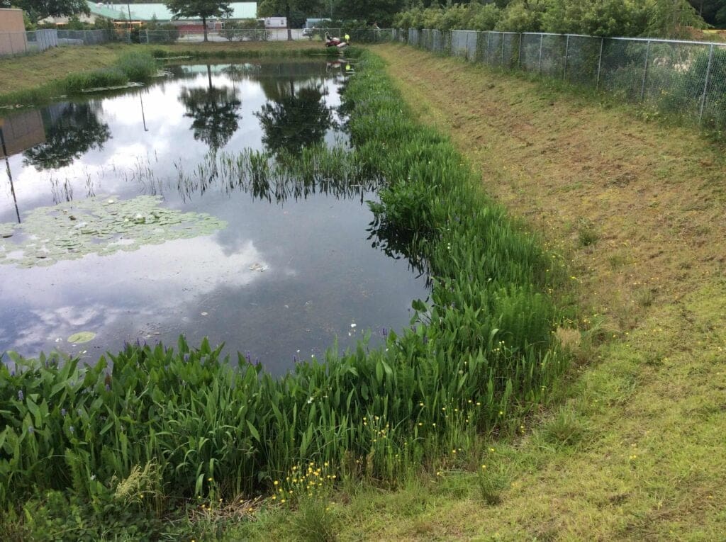 Retention pond with vegetated shoreline for stormwater maintenance