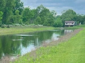 pond aeration
