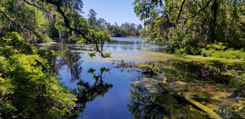 constructed wetlands stormwater management services