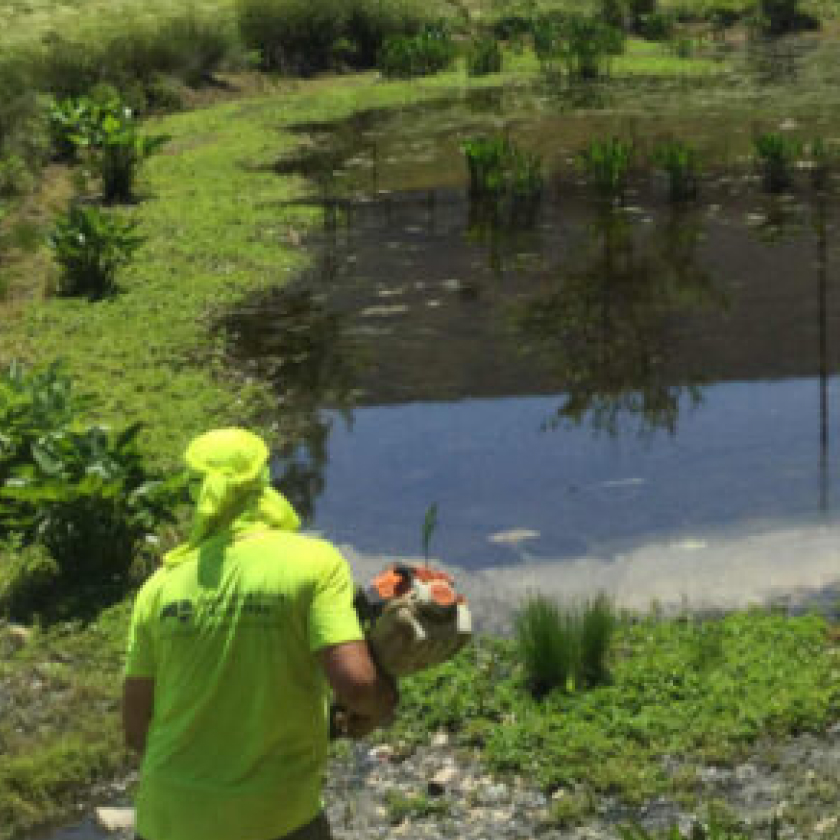 Native Landscaping - AQUALIS