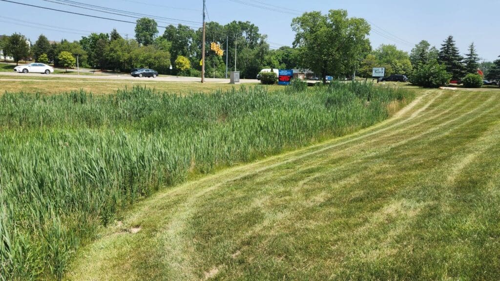 Water Management Services in Charlotte, NC - AQUALIS after picture of a detention pond after maintenance done by AQUALIS