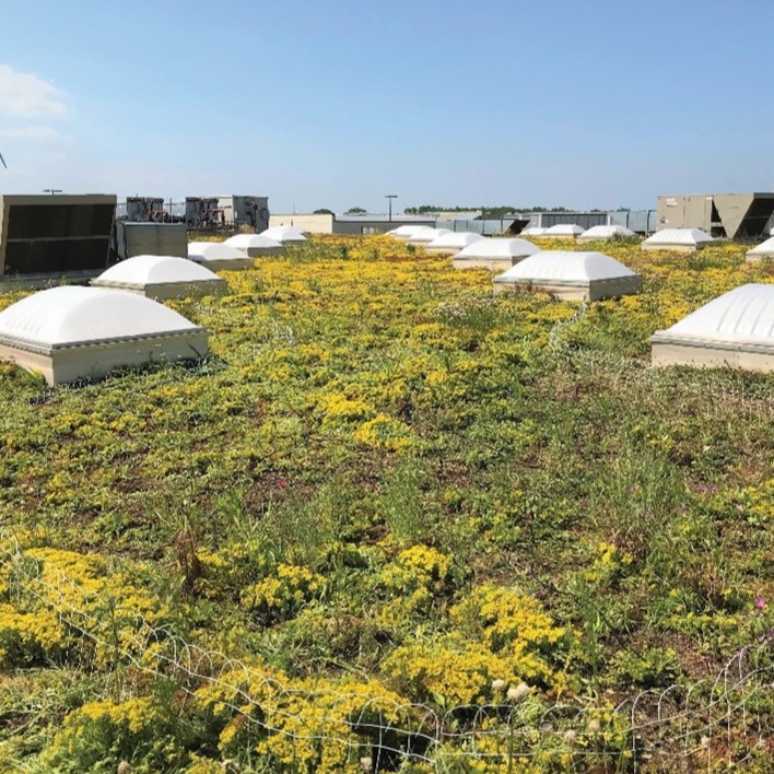 Green Roofs - AQUALIS