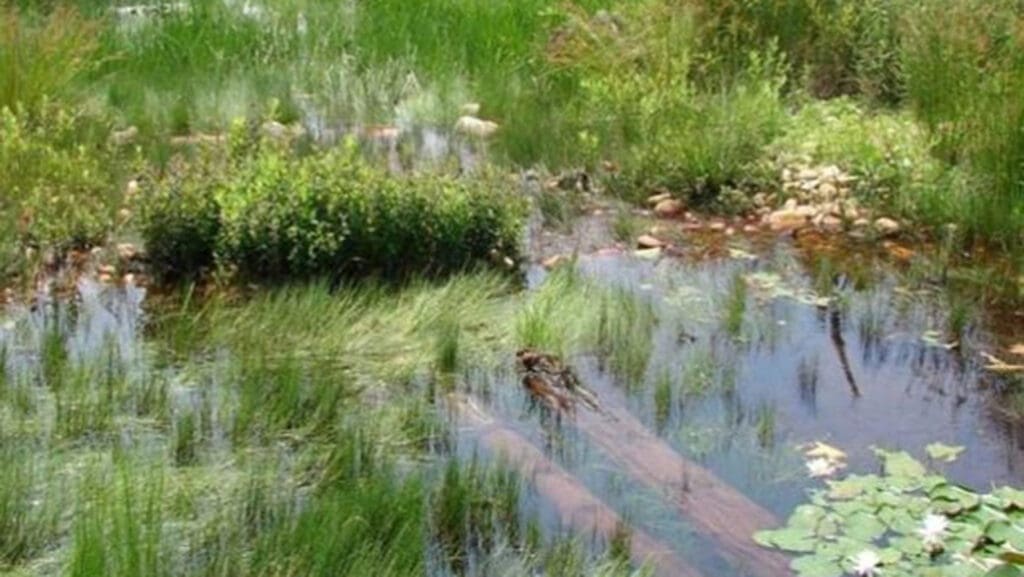 FEMA Floodplain Analysis - AQUALIS FEMA Floodplain Analysis - AQUALIS