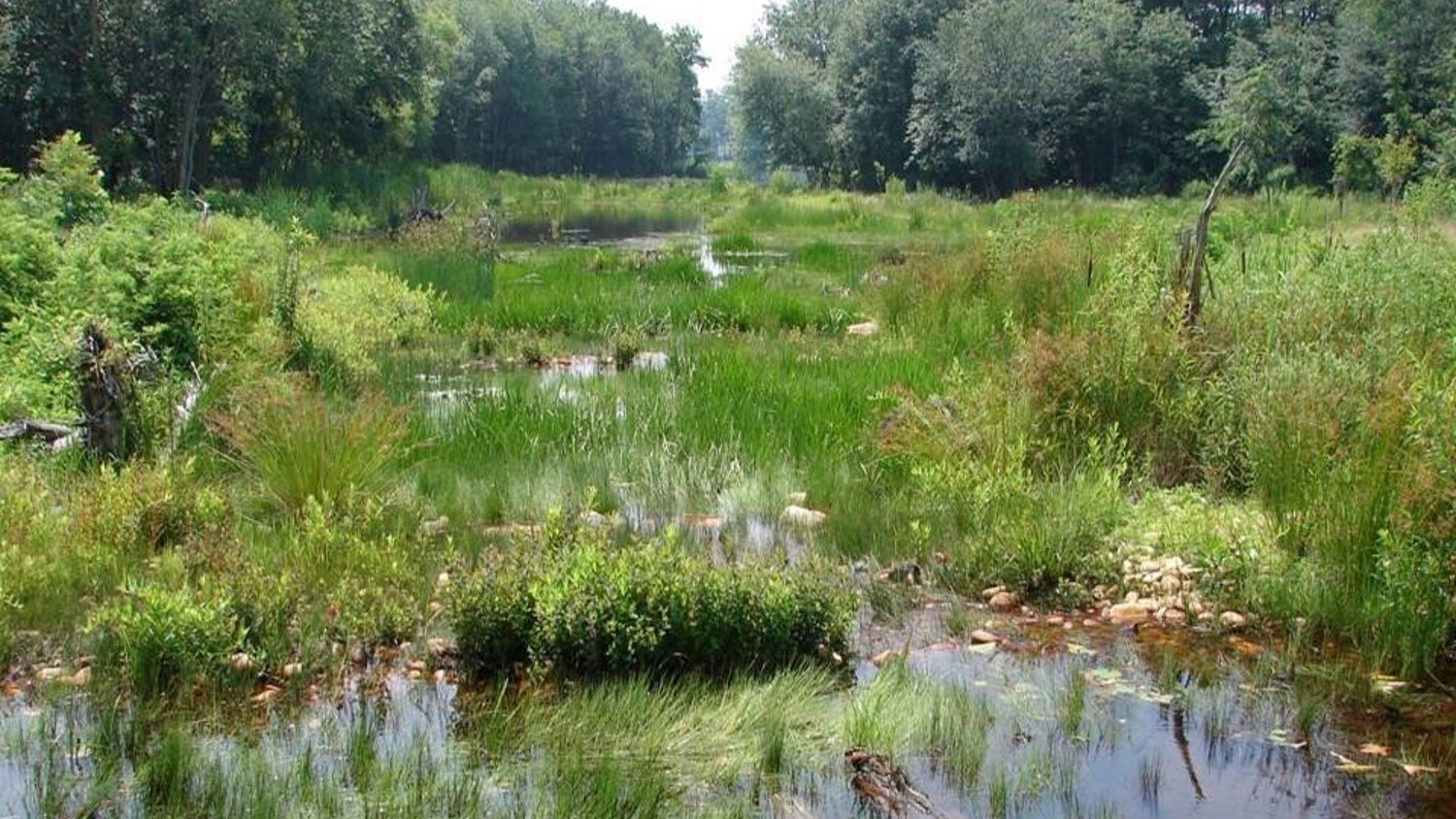 Constructed Wetlands - AQUALIS