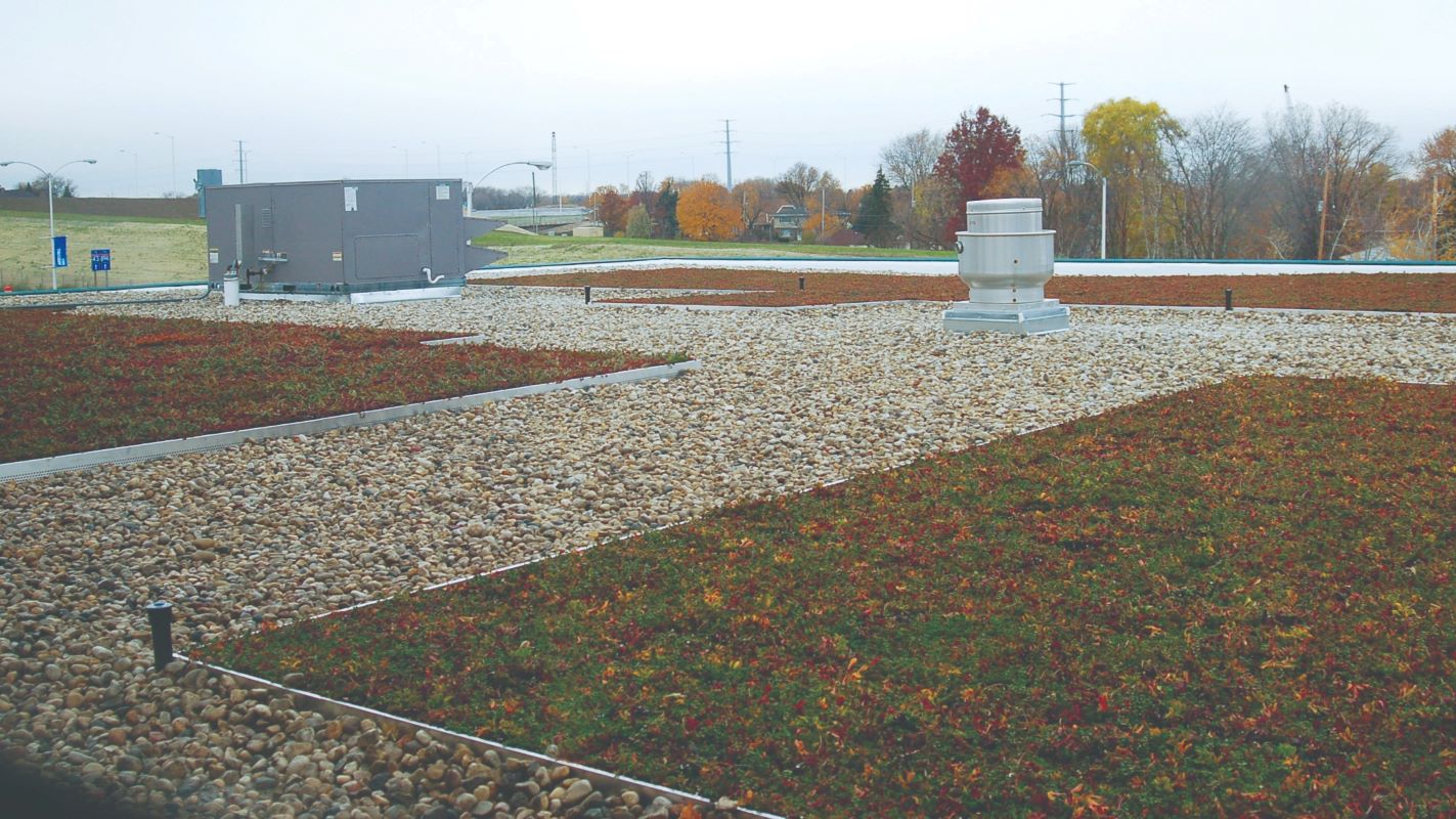 Green Roofs - AQUALIS