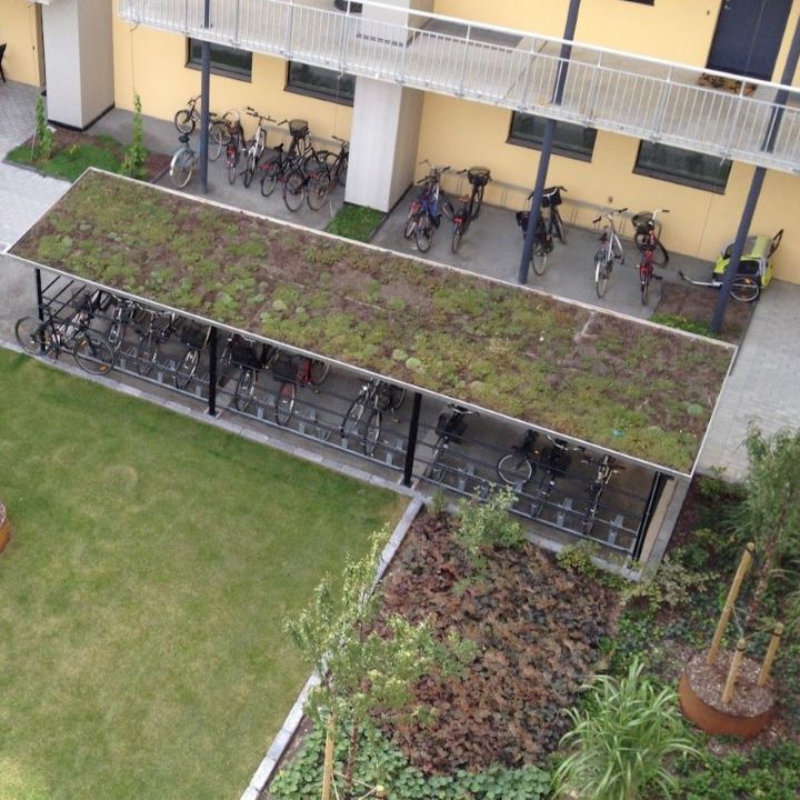 Green Roofs - AQUALIS