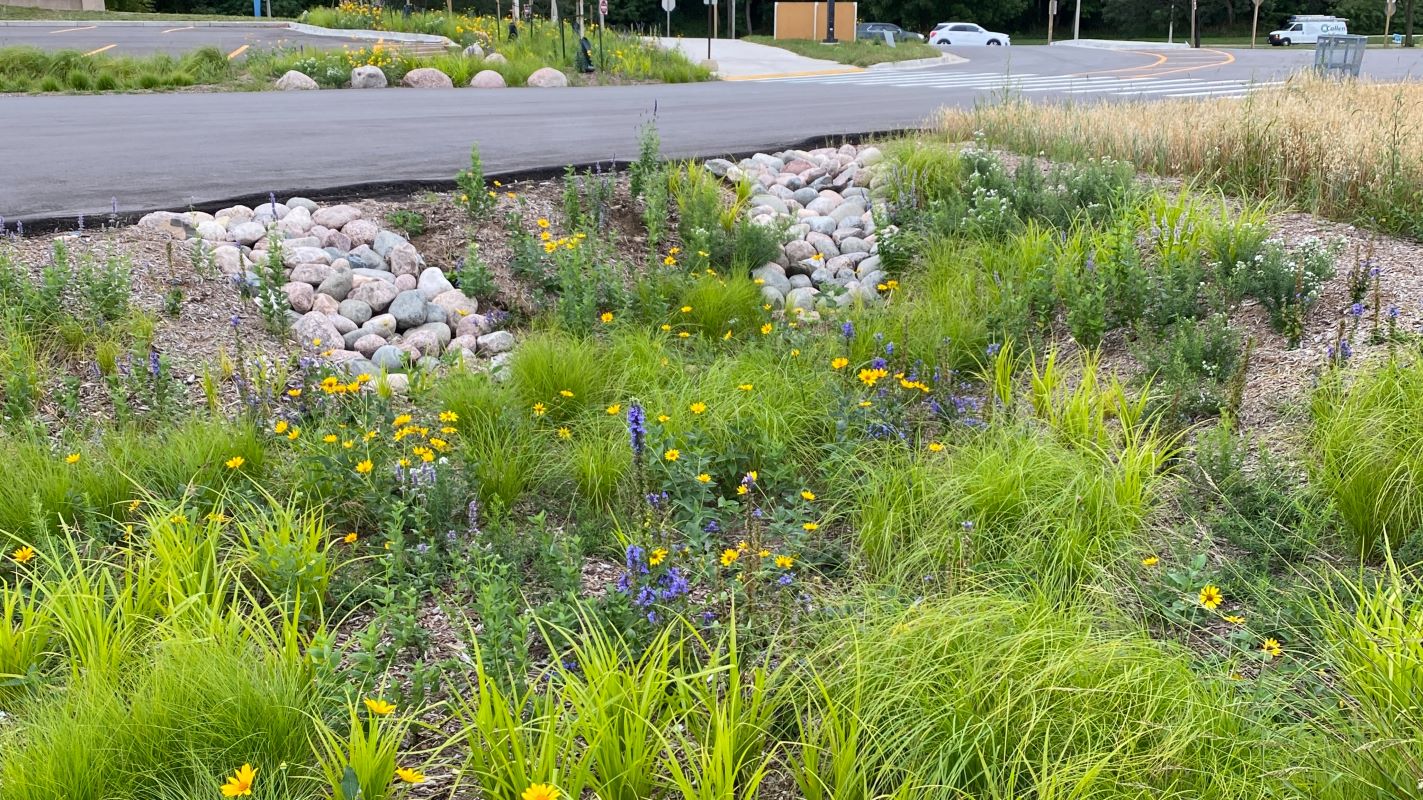 Native Landscaping - AQUALIS