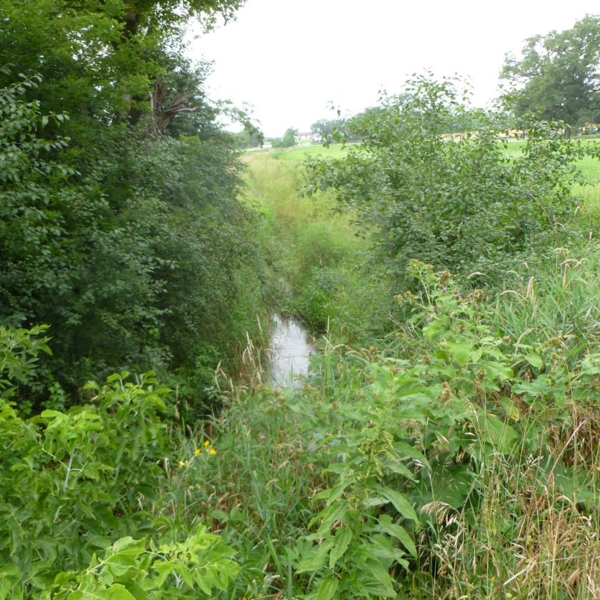 Riparian Habitats - AQUALIS