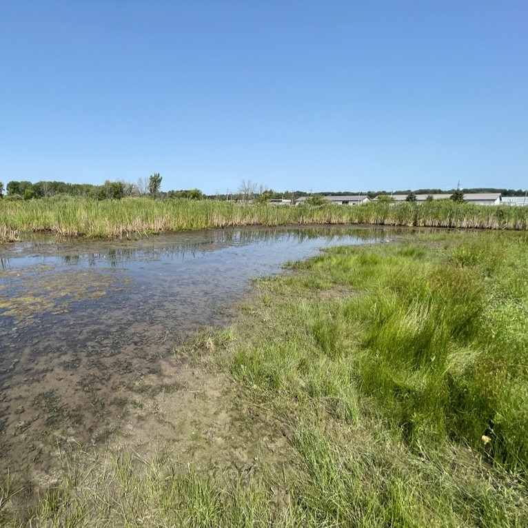 Riparian Habitats - AQUALIS