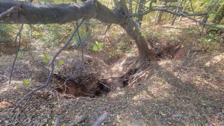 sinkhole before web