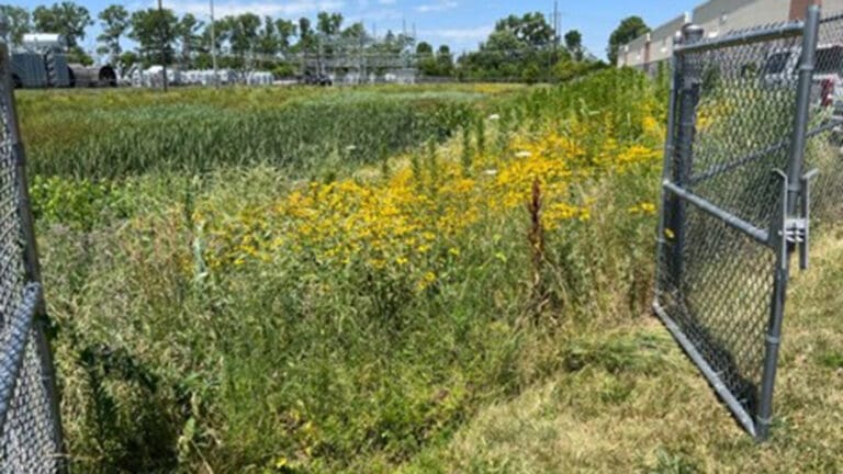 stormwater maintenance