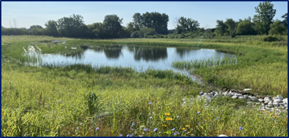 Hydraulic and Hydrologic Systems - AQUALIS pond in a green pasture