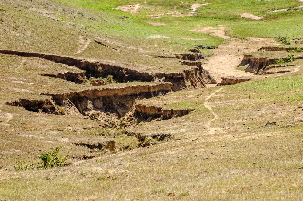 gully erosion