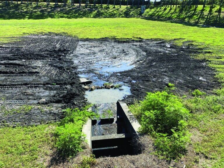 sediment removal pond 2 (3)