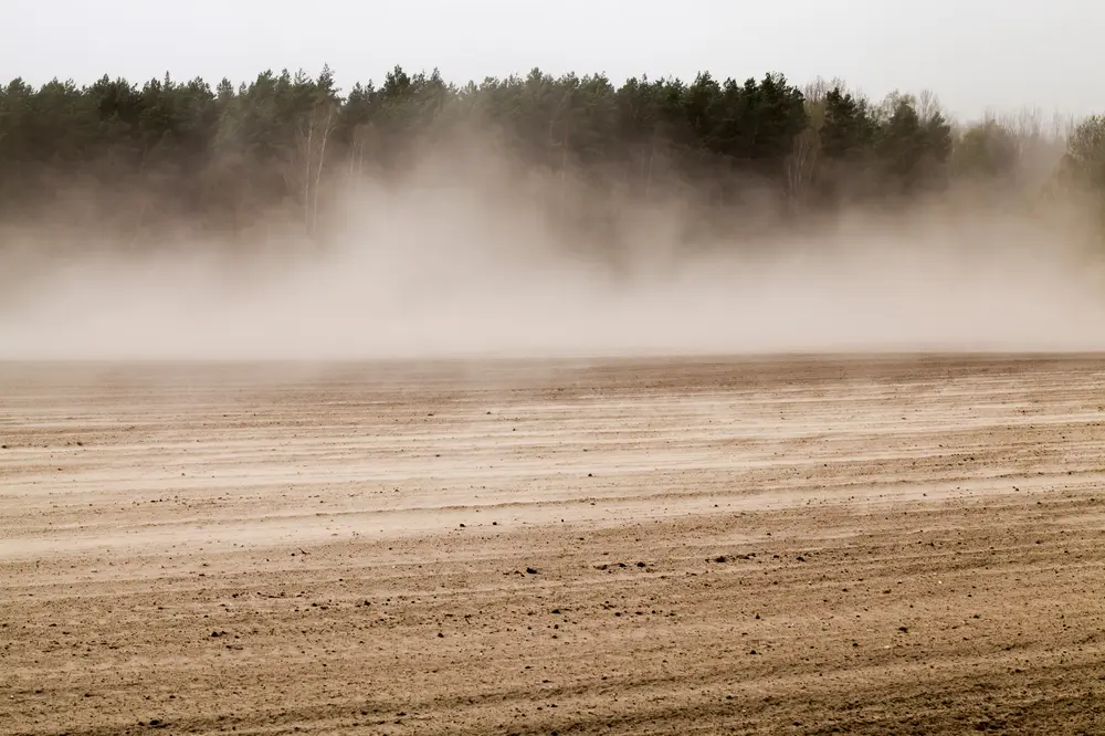 a lot of dust flying through the field during strong winds, erosion of the fertile soil layer, which is scattered by the windy weather