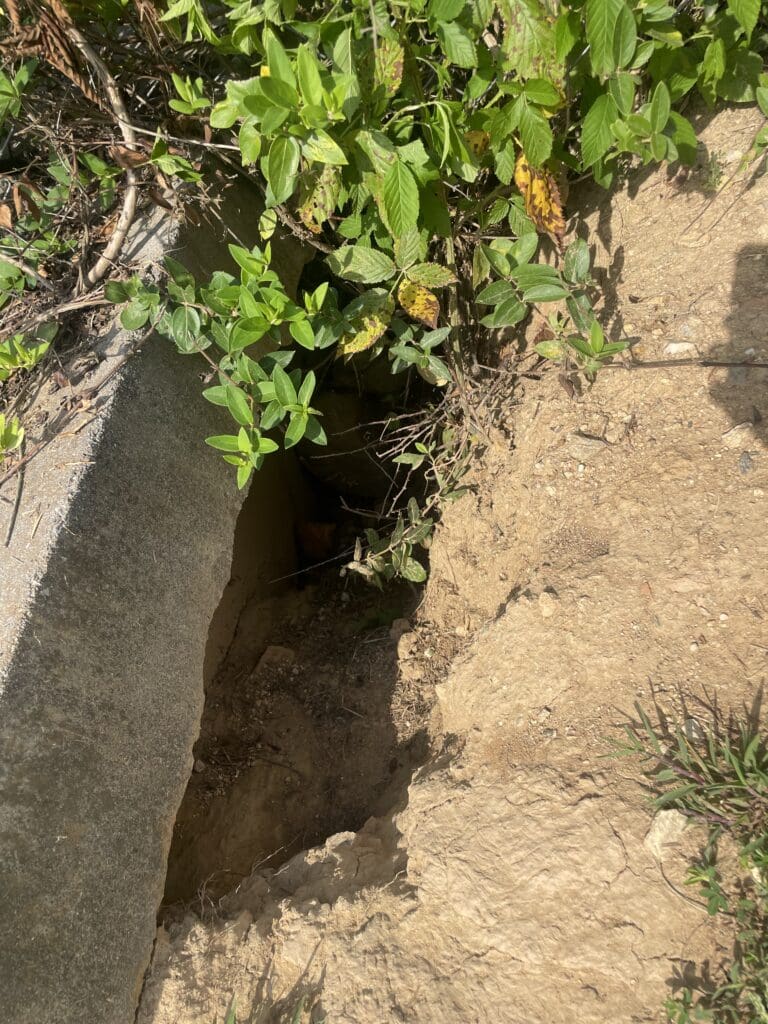 Photo Aug 21 2023, 10 15 40 AM