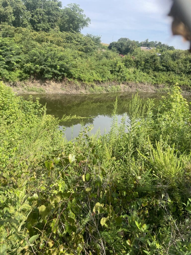 Photo Aug 21 2023, 10 21 48 AM