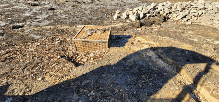 Screenshot 2025-07-09 161145