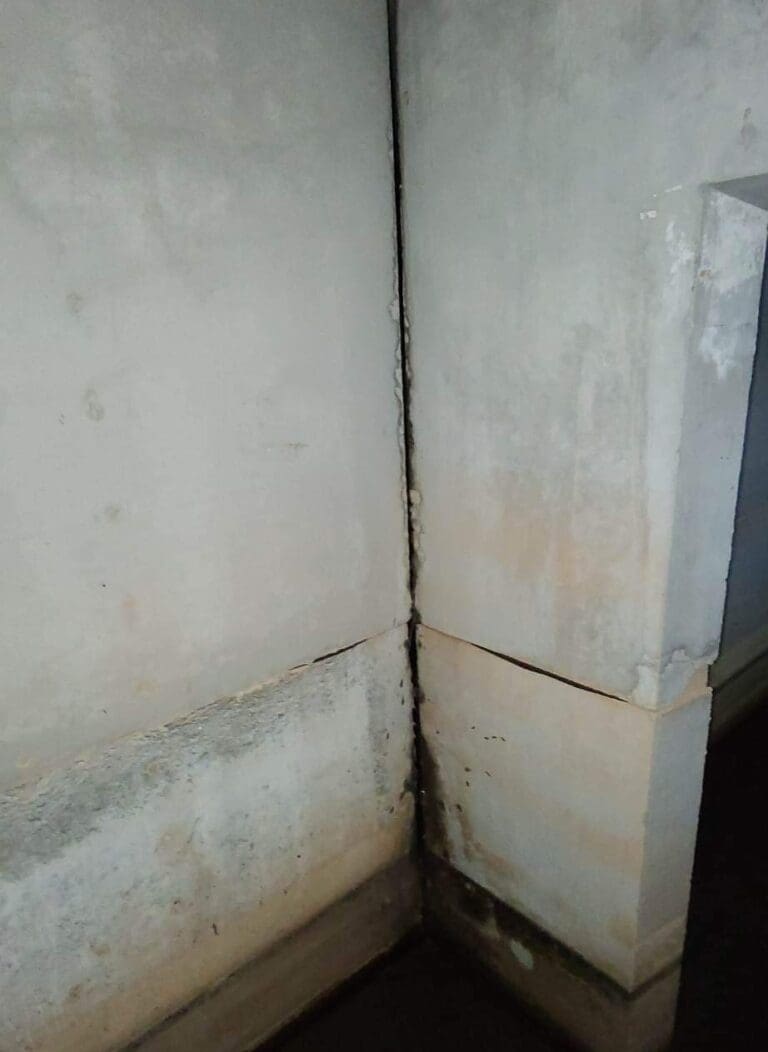 Photo Apr 26 2023, 12 15 49 PM