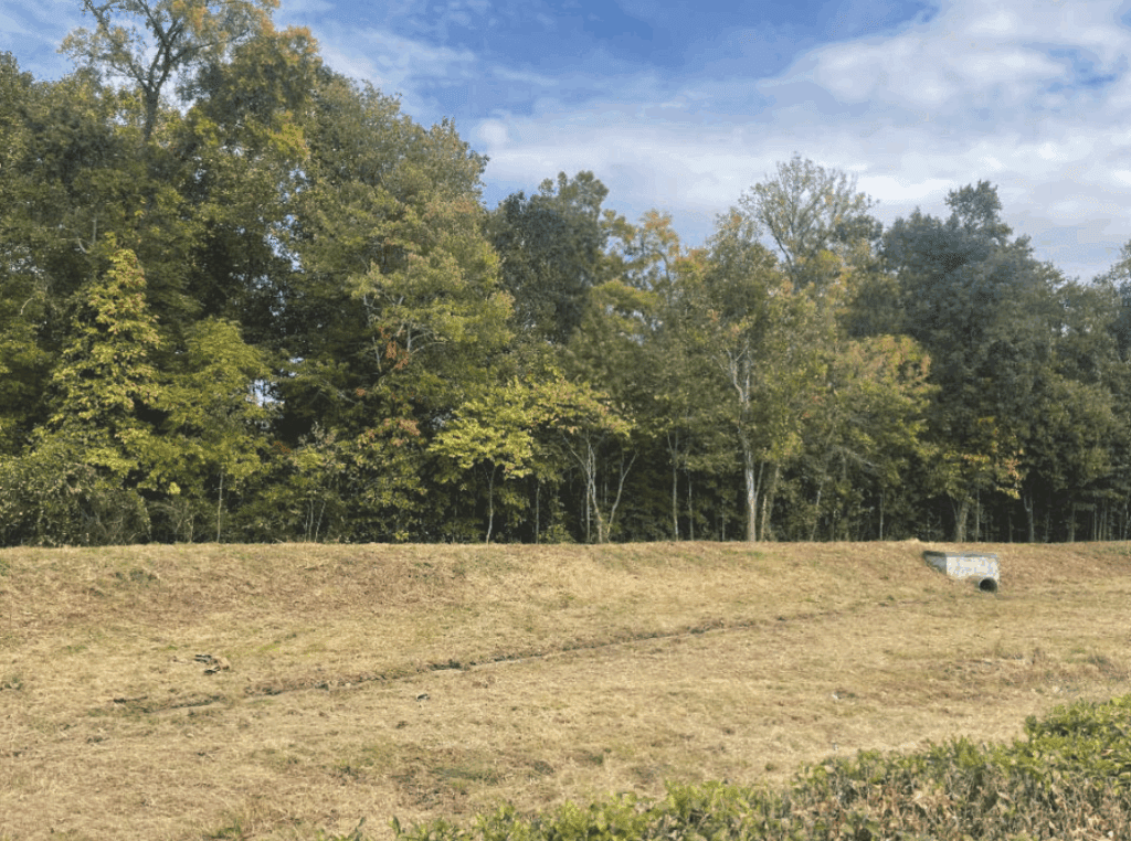AQUALIS Careers - AQUALIS pond after stormwater repairs
