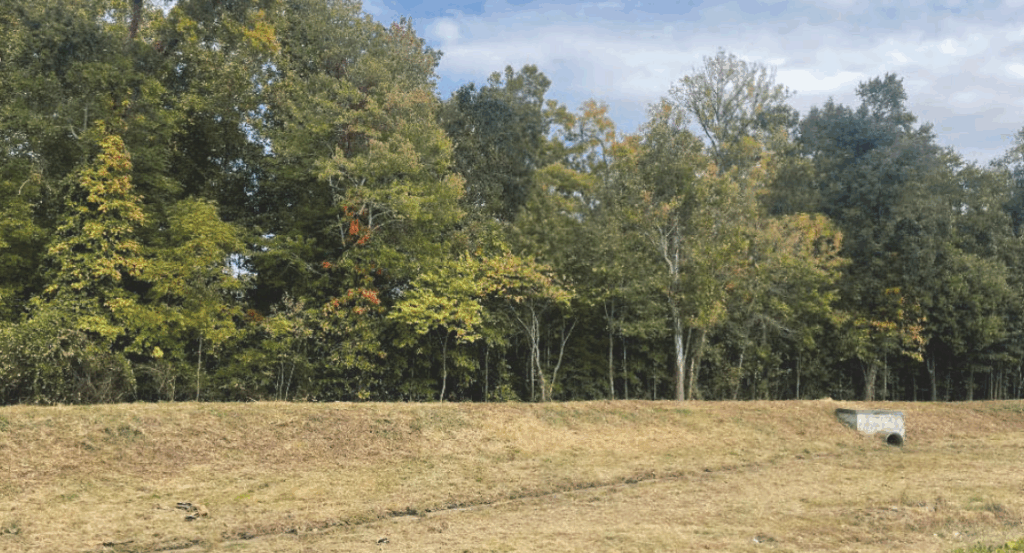 pond after stormwater repairs